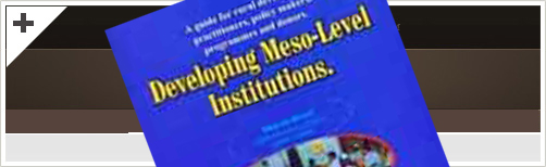 Developing Meso-Level Institutions