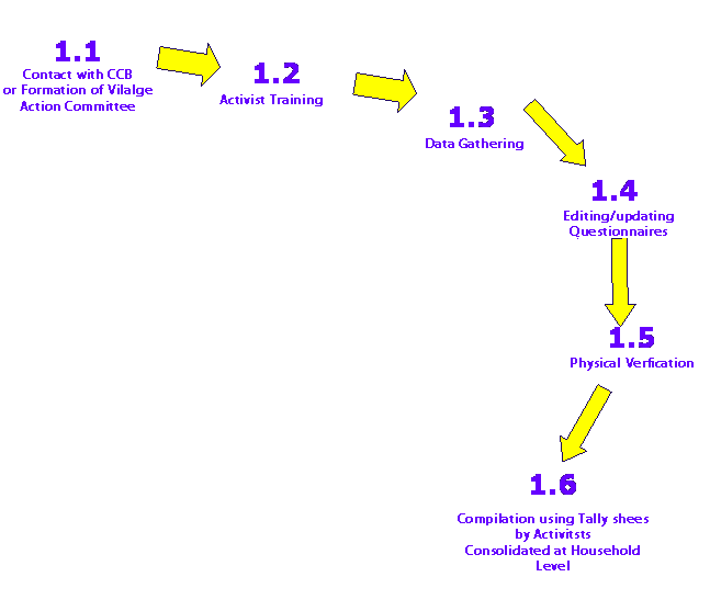 cis phase 1